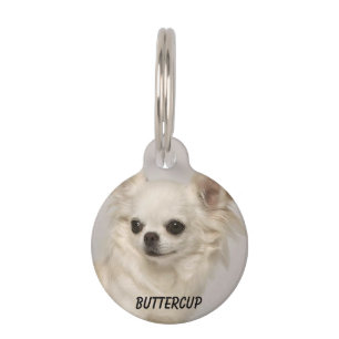 Médaillon Pour Animaux Tag Chihuahua avec photo