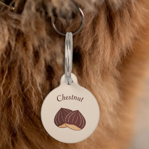 Médaillon Pour Animaux Tag de animal de compagnie de châtaignier