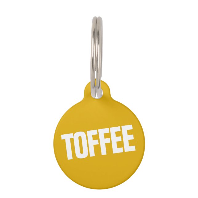 Médaillon Pour Animaux Tag de chien moderne Bold (Devant)