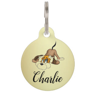 Médaillon Pour Animaux Tag/devis personnalisé Gold Round