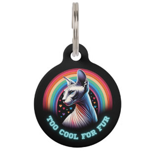 Médaillon Pour Animaux Tag d'ID de chat Sphynx Personnalisé Chats Nom de 