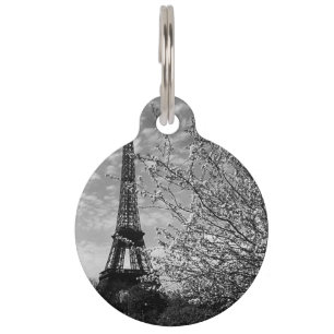 Médaillon Pour Animaux Tag d'identification d'animal de compagnie de la t