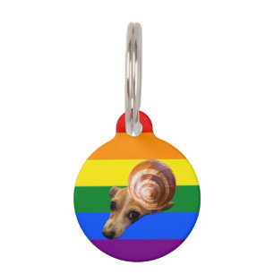 Médaillon Pour Animaux Tag gay escargot