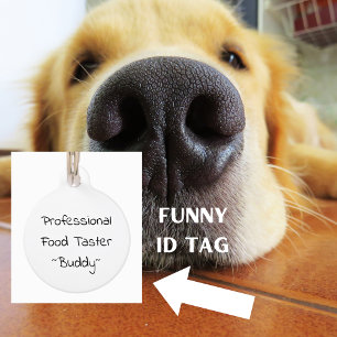 Médaillon Pour Animaux Tasteur de nourriture professionnelle Chien Chat D