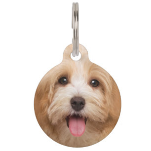 Médaillon Pour Animaux Télécharger l'animal photo