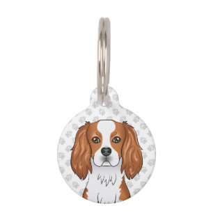 Médaillon Pour Animaux Tête de Cavalier King Charles Spaniel Blenheim
