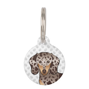 Médaillon Pour Animaux Tête de teckel à poil court chocolat et panaché de