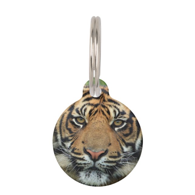 Médaillon Pour Animaux Tigre (Devant)