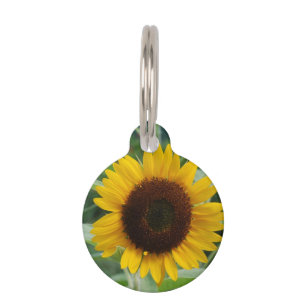 Médaillon Pour Animaux Tournesol