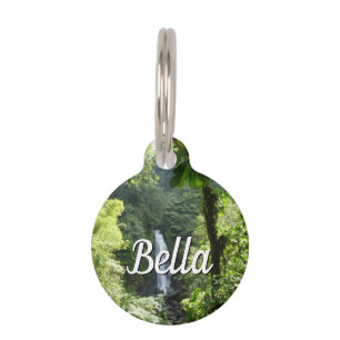 Médaillon Pour Animaux Trafalgar Falls Tropical Rainforest Photographie