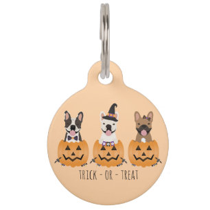 Médaillon Pour Animaux Trick Or Treat Pumpkin Bouledogues Français