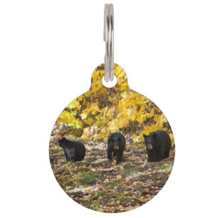 Médaillon Pour Animaux Trois ours