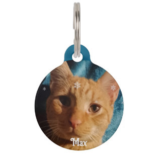 Médaillon Pour Animaux Trois photos de chats, Noël personnalisé