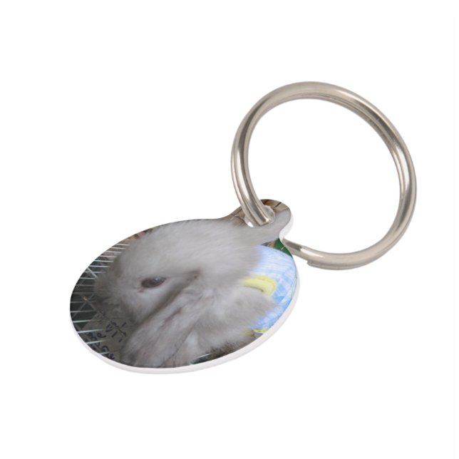 Médaillon Pour Animaux Un lapin en robe (Côté )