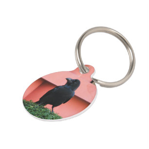 Médaillon Pour Animaux Une Jungle À Gros Billages Croque Une Perche Sur U