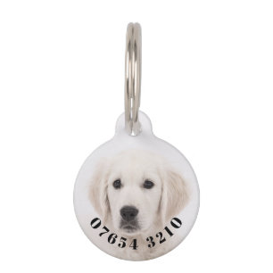 Médaillon Pour Animaux Votre animal de compagnie et votre numéro de télép