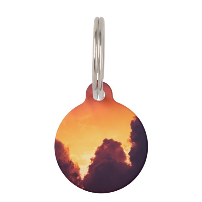 Médaillon Pour Animaux w par temps (Devant)