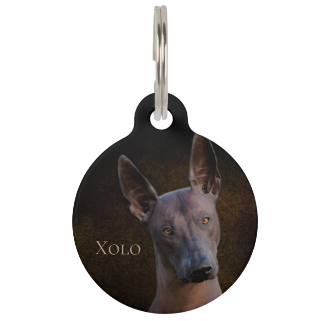 Médaillon Pour Animaux Xoloitzcuintle (Devant)