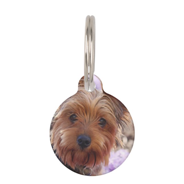Médaillon Pour Animaux Yorkshire Terrier (Devant)