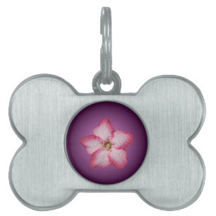 Médaillons Pour Animaux Domestiques Adénium Fleur Rose Flore Dégradé Violet