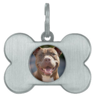 Médaillons Pour Animaux Domestiques Ajouter une Personnaliser photo Pit Bull