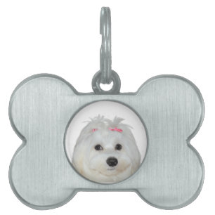 Médaillons Pour Animaux Domestiques Amour maltais Chien mignon Lili