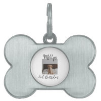 Animateur chien chat animal photo moderne simple