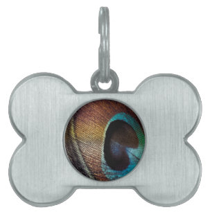 Médaillons Pour Animaux Domestiques Antique Hues Peacock Feather Eye