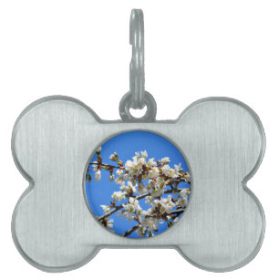 Médaillons Pour Animaux Domestiques Arbre de printemps blanc fleuri blanc
