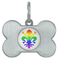 Arc-en-ciel stylisé Fleur de Lis