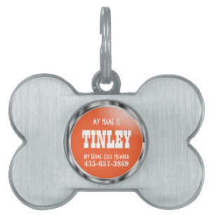 Médaillons Pour Animaux Domestiques Argent et orange Nom do-it-yourself