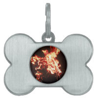 Augmentation de Phoenix