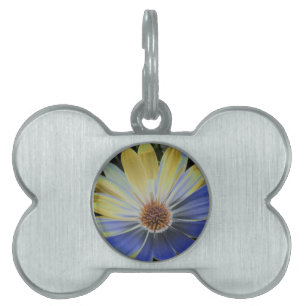Médaillons Pour Animaux Domestiques Balise African Daisy Lapis et Gold Pet