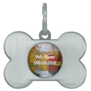 Médaillons Pour Animaux Domestiques Balise Alley Mill Et Spring Pet ID