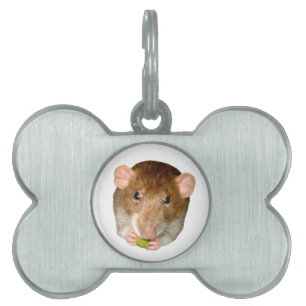 Médaillons Pour Animaux Domestiques Balise Animaux de compagnie de rat affamé