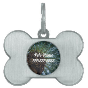 Médaillons Pour Animaux Domestiques Balise Art Of The Palm Tree Pet ID
