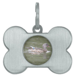 Médaillons Pour Animaux Domestiques Balise Canard sur le lac pour animaux de compagnie