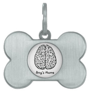 Médaillons Pour Animaux Domestiques Balise Chien Brainy