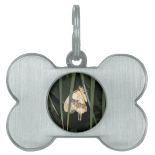 Médaillons Pour Animaux Domestiques Balise magnifique Moth Pet