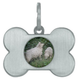 Médaillons Pour Animaux Domestiques Balise Mignonne Manger Feuille