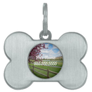 Médaillons Pour Animaux Domestiques Balise Rivercut In Spring Pet ID