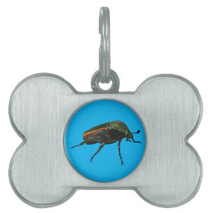 Médaillons Pour Animaux Domestiques Balises pour animaux de compagnie