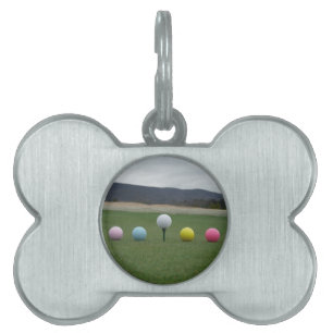 Médaillons Pour Animaux Domestiques Ballons de golf aux couleurs vives sur une montagn