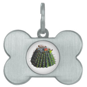 Médaillons Pour Animaux Domestiques Barrel Cactus Animaux