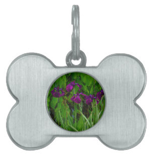 Médaillons Pour Animaux Domestiques Belle Iris Violet