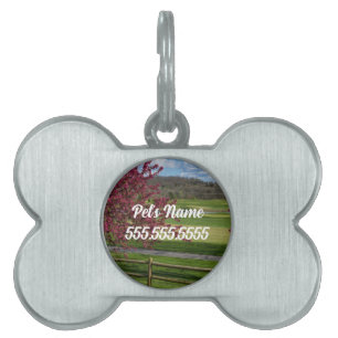 Médaillons Pour Animaux Domestiques Belle Printemps À Rivercut Pet ID balise