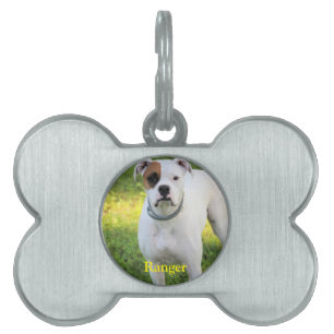 Médaillons Pour Animaux Domestiques Boxer