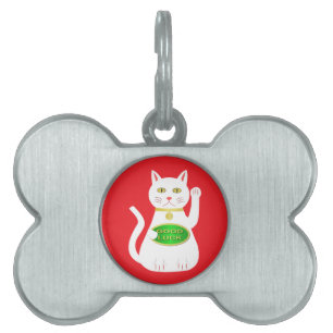 Médaillons Pour Animaux Domestiques Chat Oriental Lucky