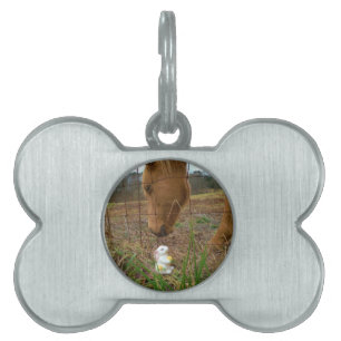 Médaillons Pour Animaux Domestiques cheval et fleur de printemps Bunny