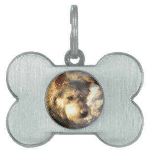 Médaillons Pour Animaux Domestiques Chien de plage thaïlandais